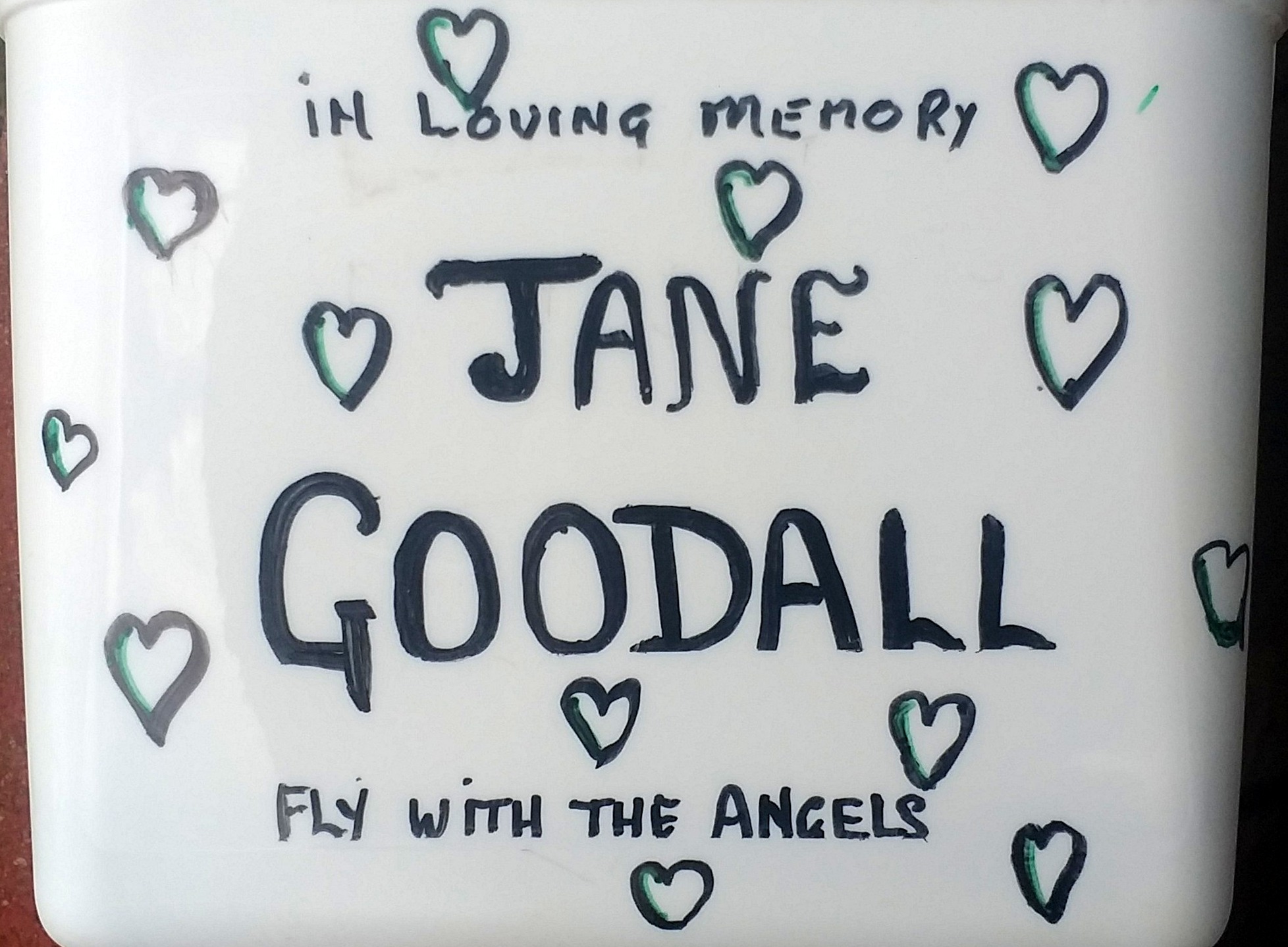 Installation of Lion Lights honoring grand dame Jane Goodall