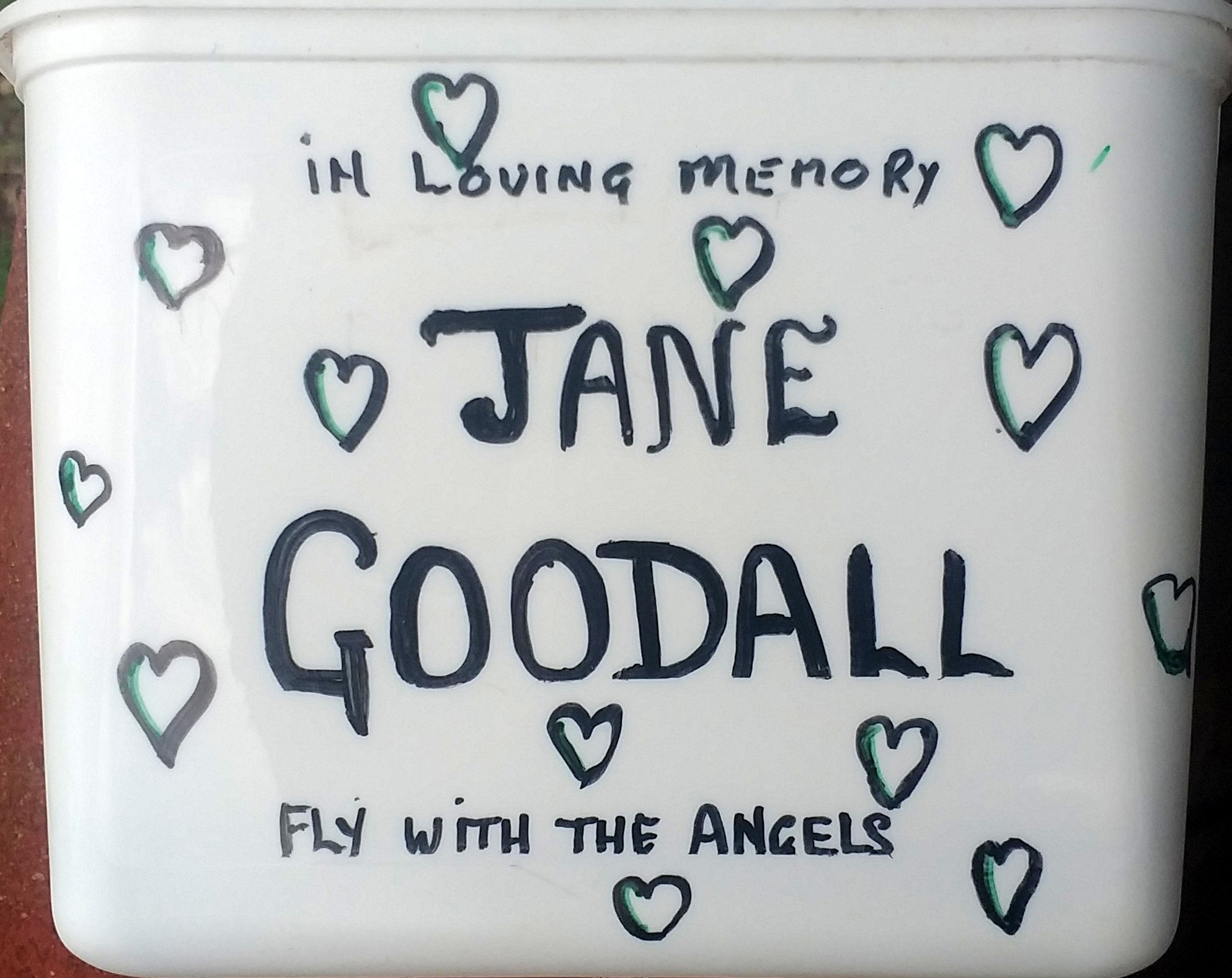 A light for Life installation honoring grand dame Jane Godall