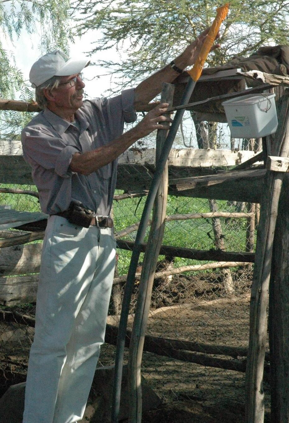 David Mascall installing Lion Lights