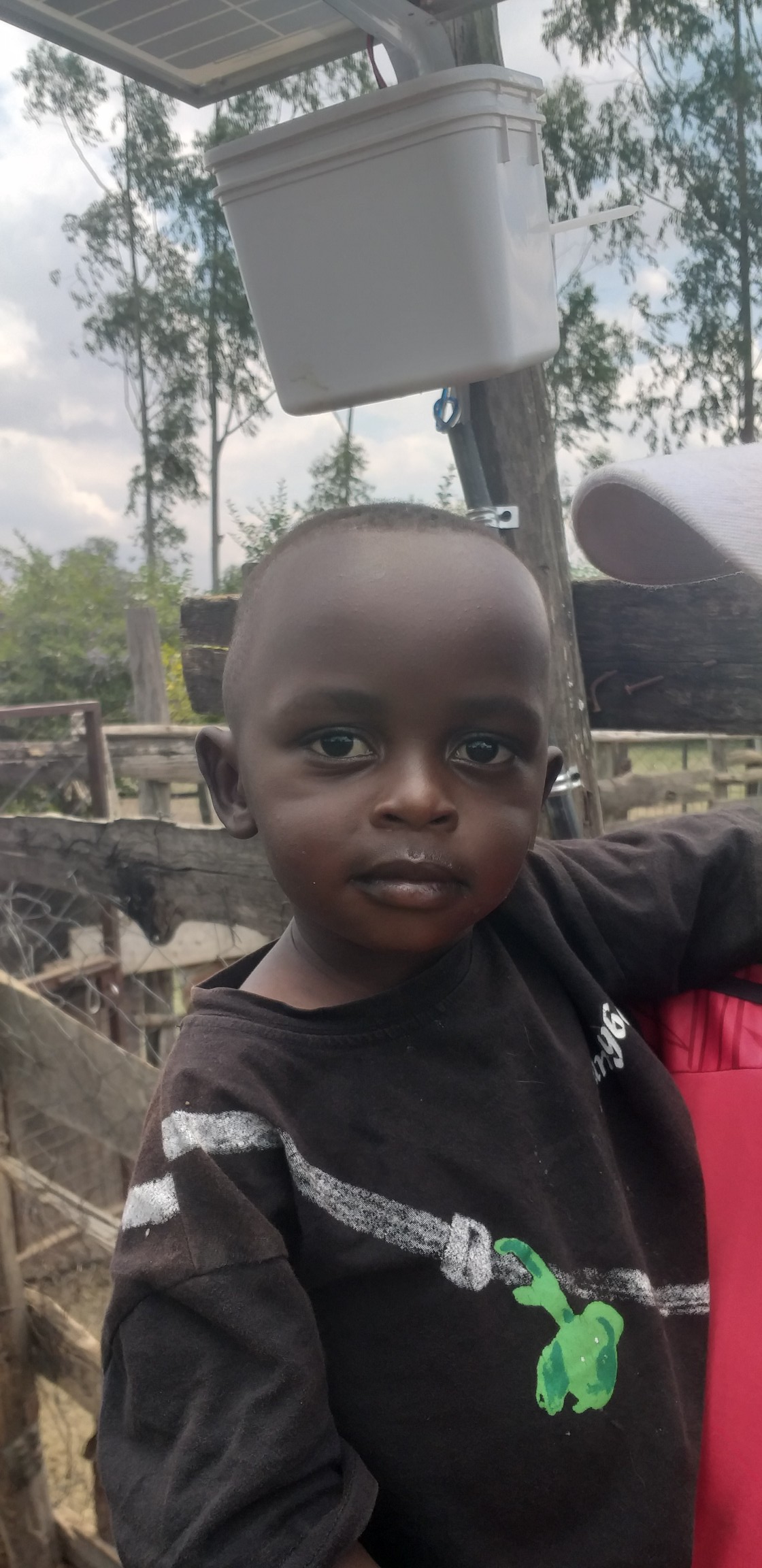 Little Kennedy Sakita