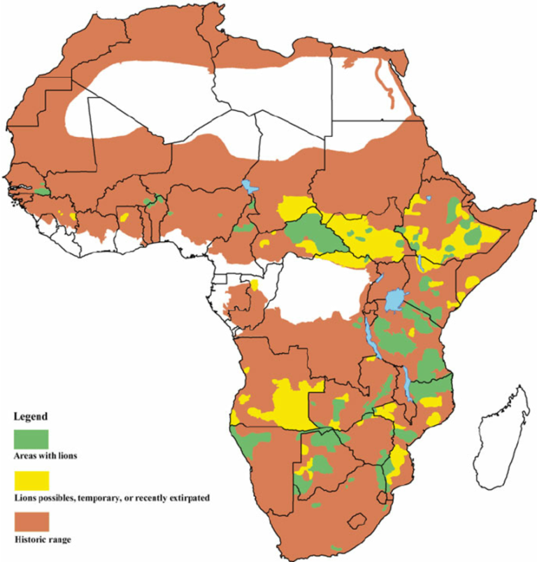 (©) Martina Trinkel and Francesco Maria Angelici - Historic and present distribution of Lions in Africa